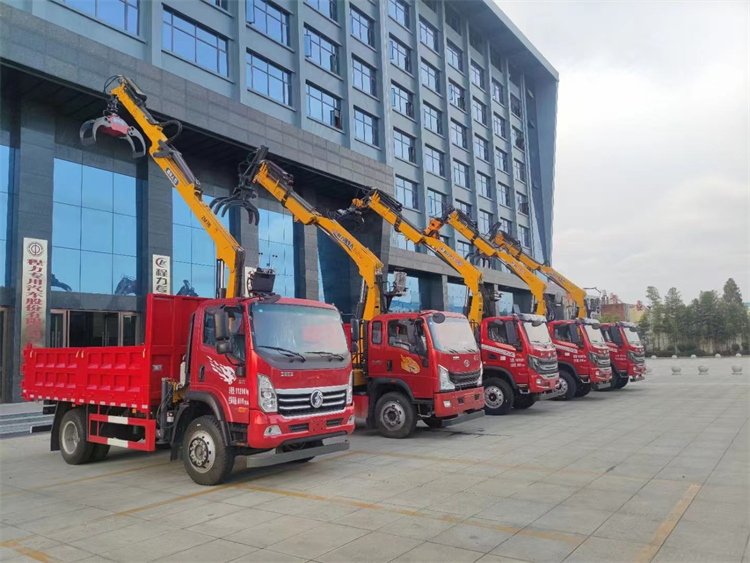 SINOTRUK Wangpai 4x2 Grab Dump Truck