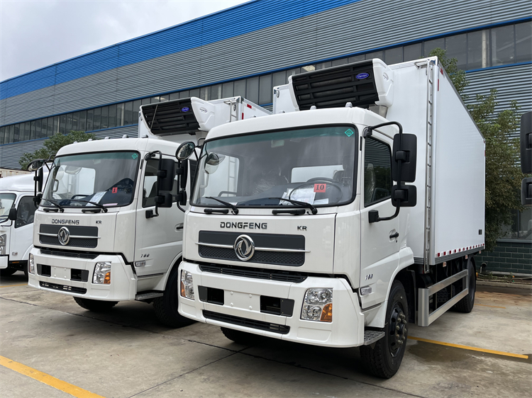 Dongfeng Tianjin 4x2 12T Refrigerated Truck