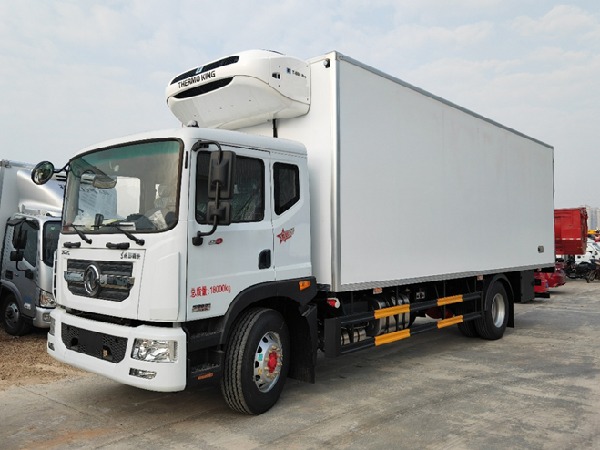 Dongfeng D9 4x2 10-12T Refrigerated Van Truck
